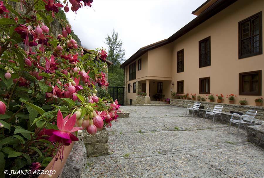 La Casona De Mestas Ponga Bagian luar foto